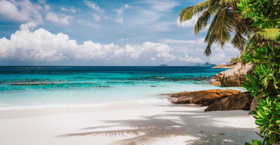 Praia deserta com areia branca, coqueiros e mar calmo sob céu azul em Prado